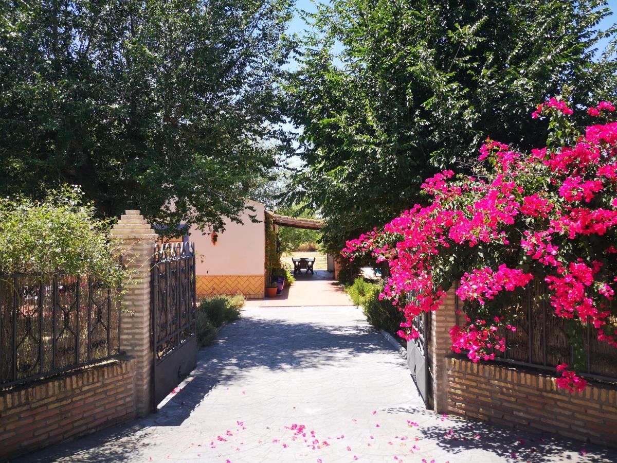 Casa Los Jinetes Καρμόνα Εξωτερικό φωτογραφία